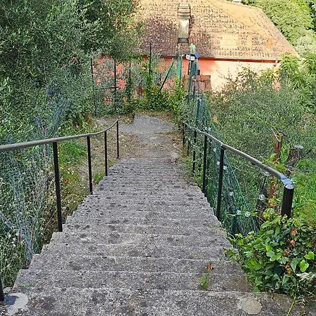 Apartament Casa Amelia