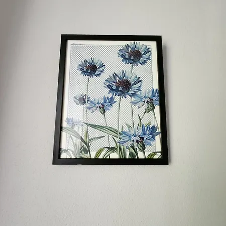 Casa Amelia Le Grazie (Liguria)