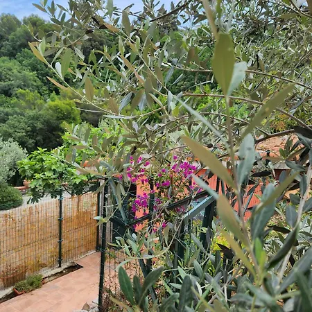 Apartament Casa Amelia Le Grazie (Liguria)