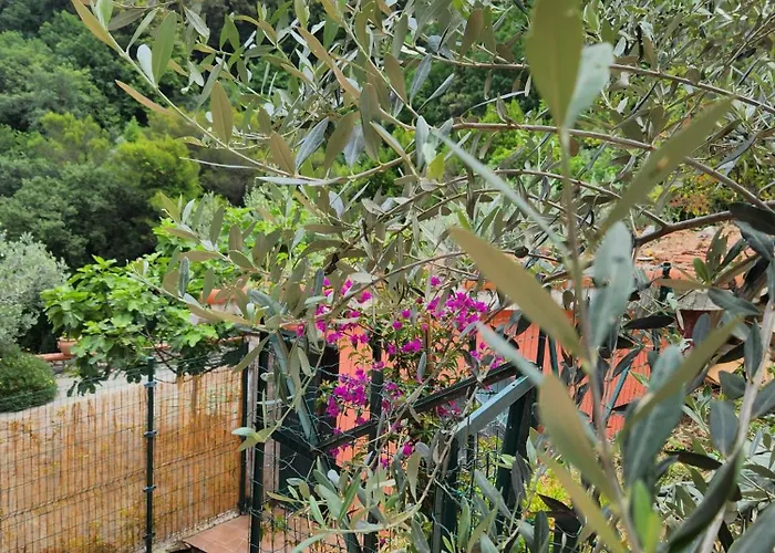 Apartment Casa Amelia Le Grazie (Liguria)