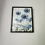 Casa Amelia 레 그라치에