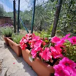 Casa Amelia *