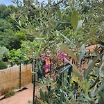아파트 Casa Amelia 레 그라치에