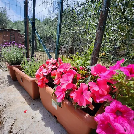 Casa Amelia *