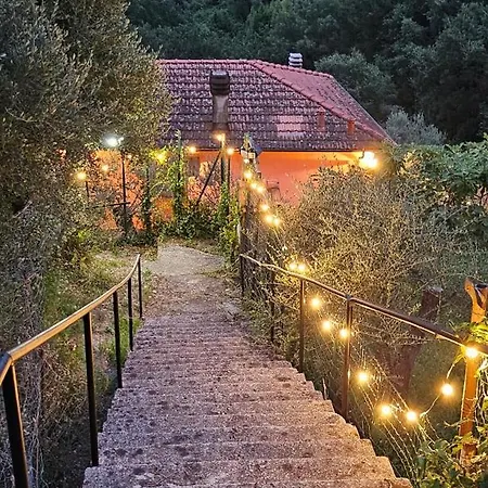 Casa Amelia